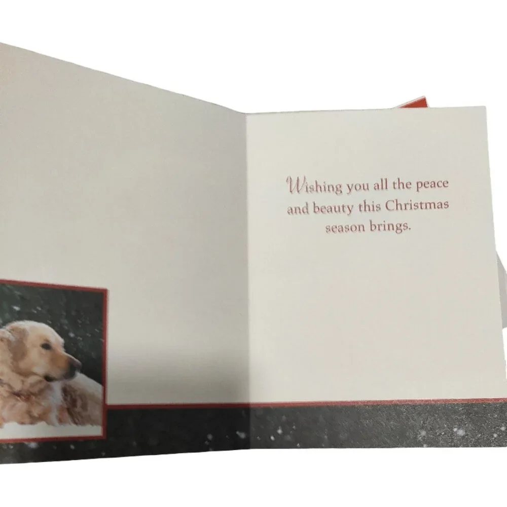 Set of 6 Christmas/Holiday Cards with Unique Envelopes Dogs/Cats/Pets/Animals